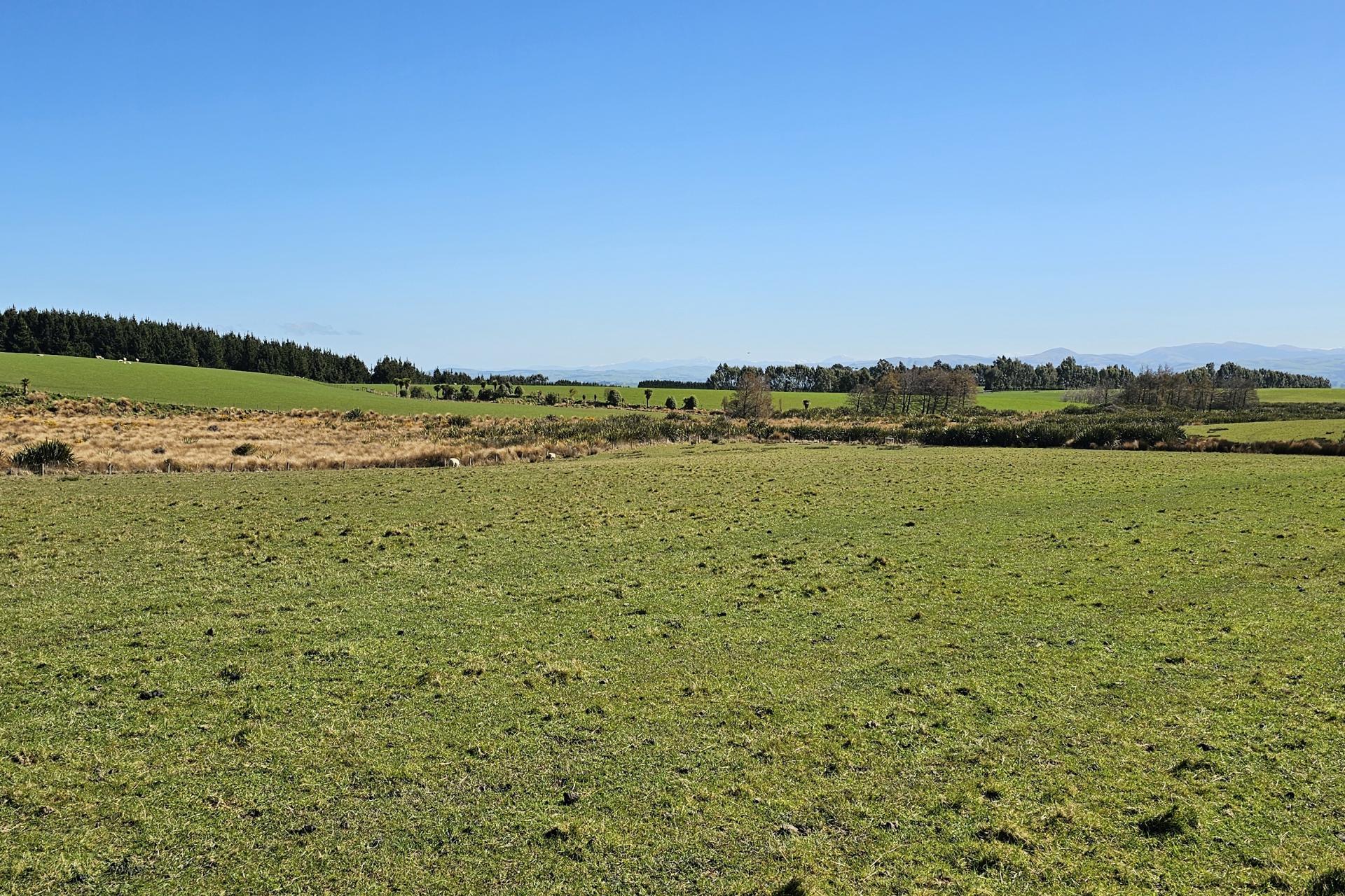 169 Charters Road, Waikoikoi