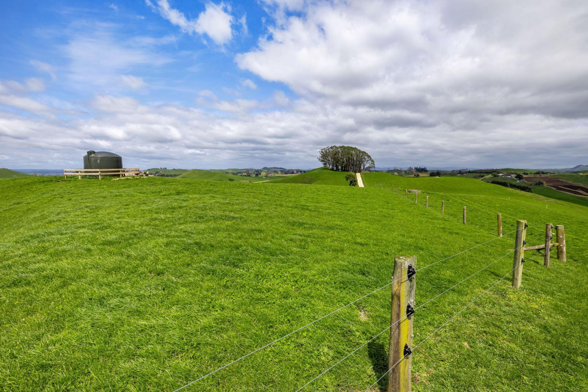 310 Paparamu Road, Piarere
