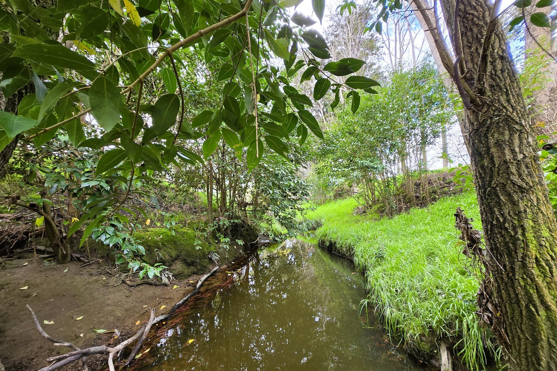 42 Ford Road, Paparoa