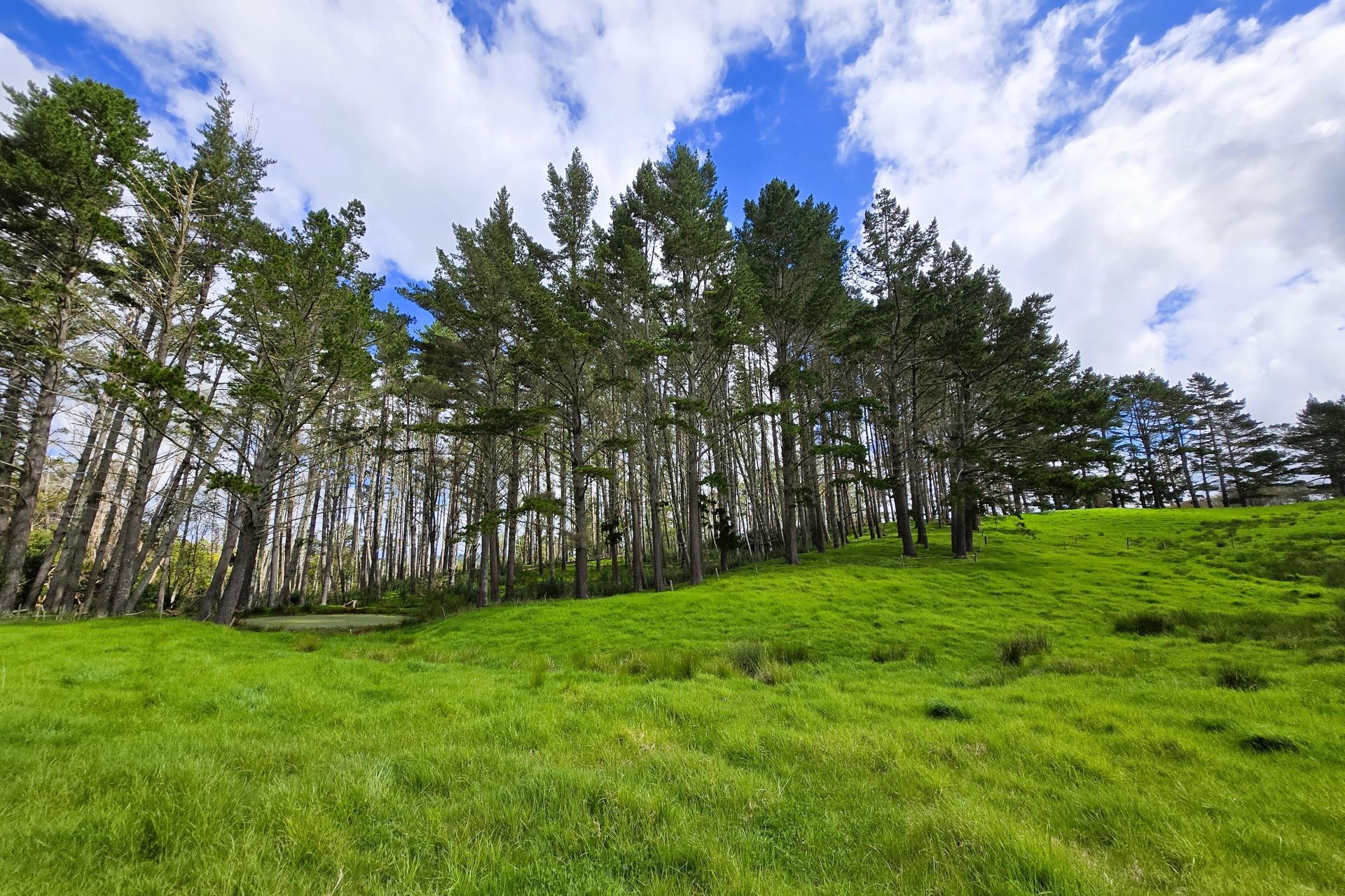 42 Ford Road, Paparoa