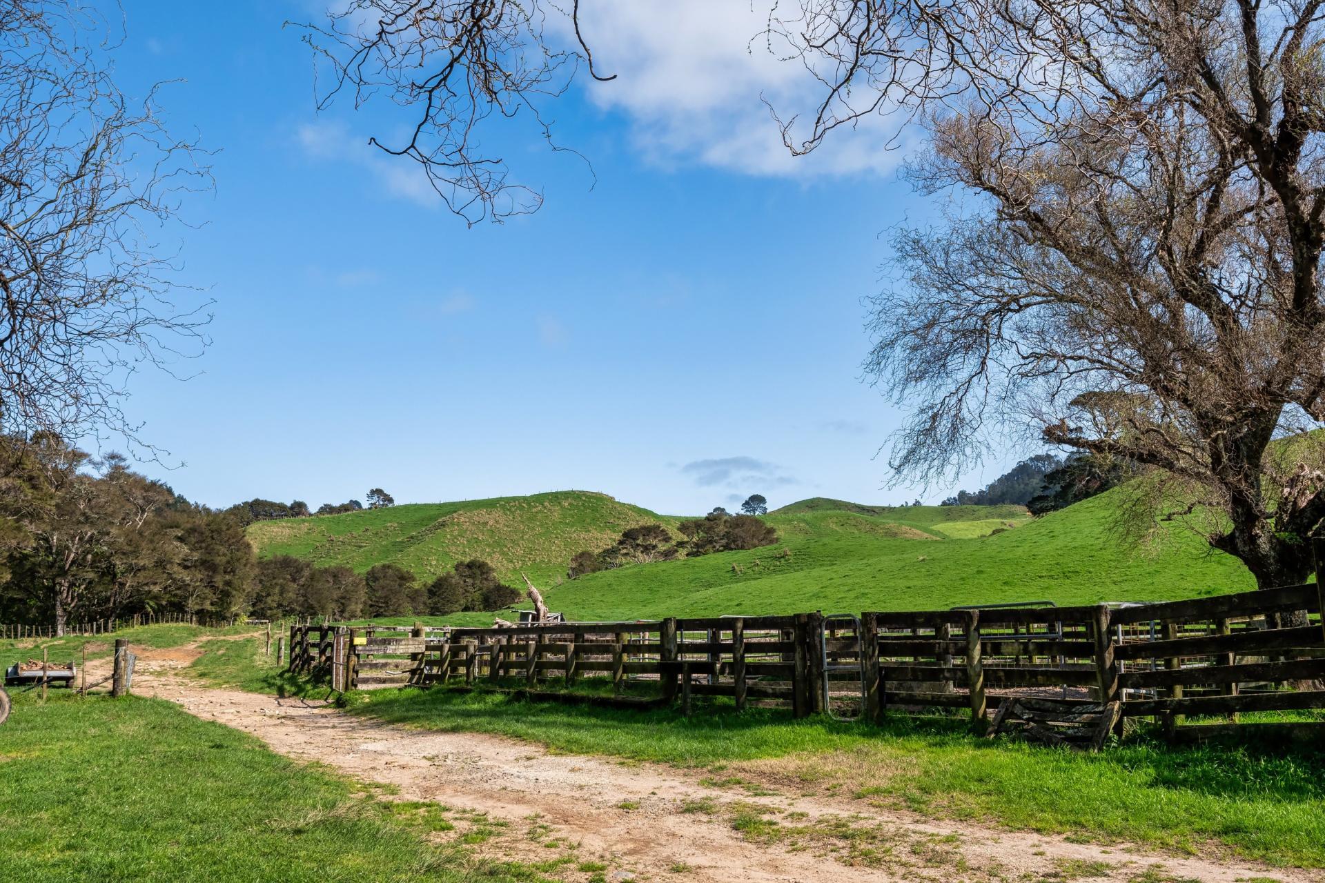 35 Canon Road, Katikati
