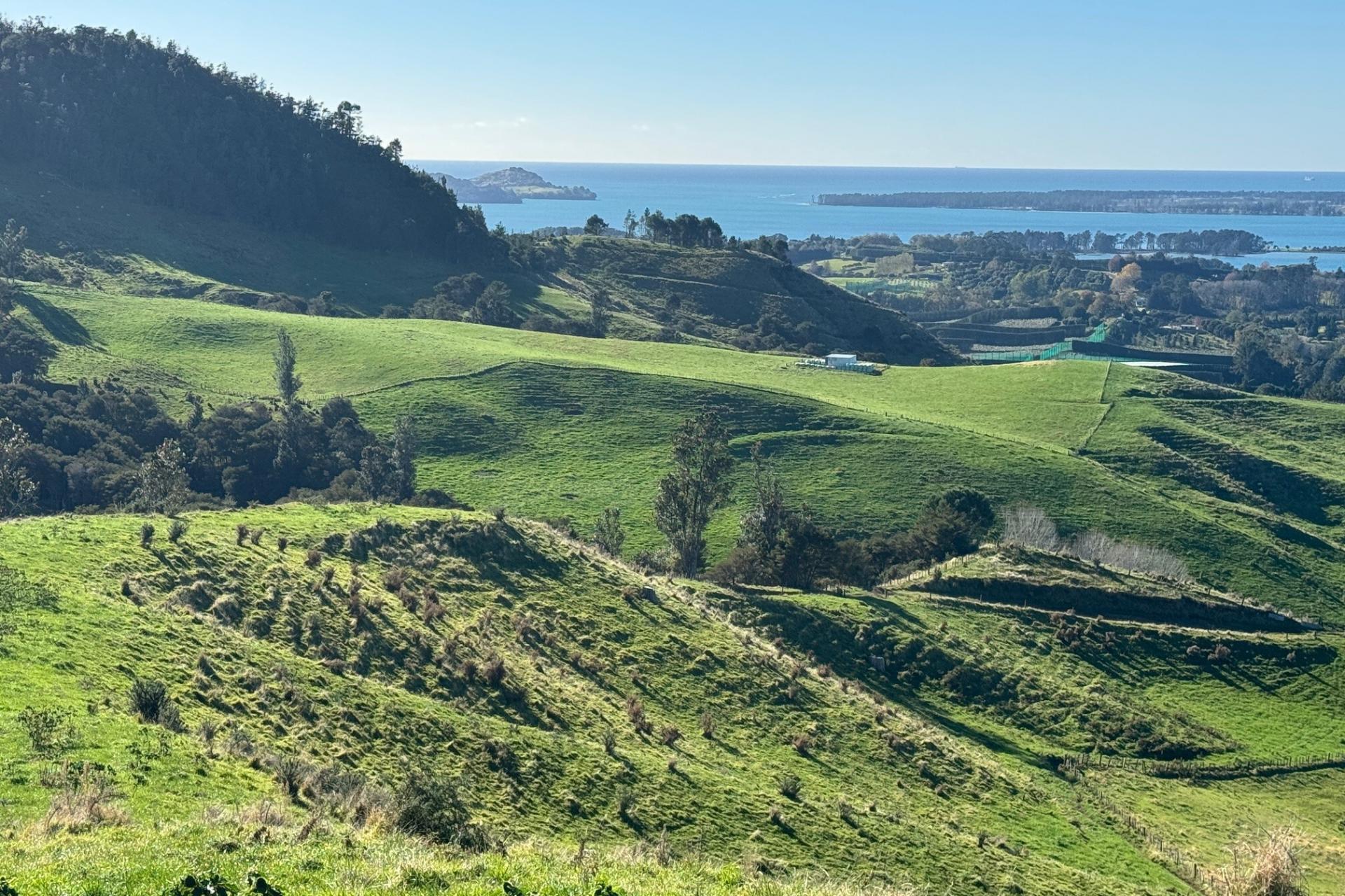 35 Canon Road, Katikati