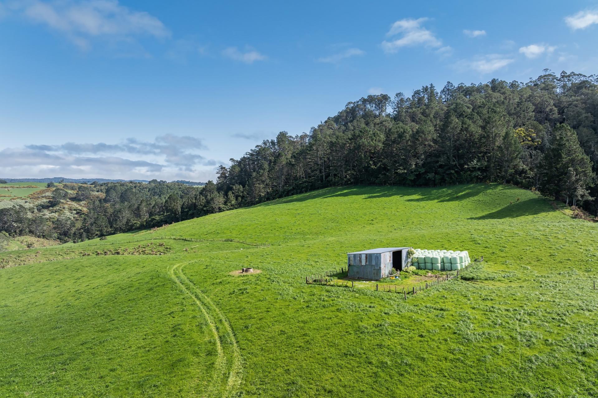 35 Canon Road, Katikati