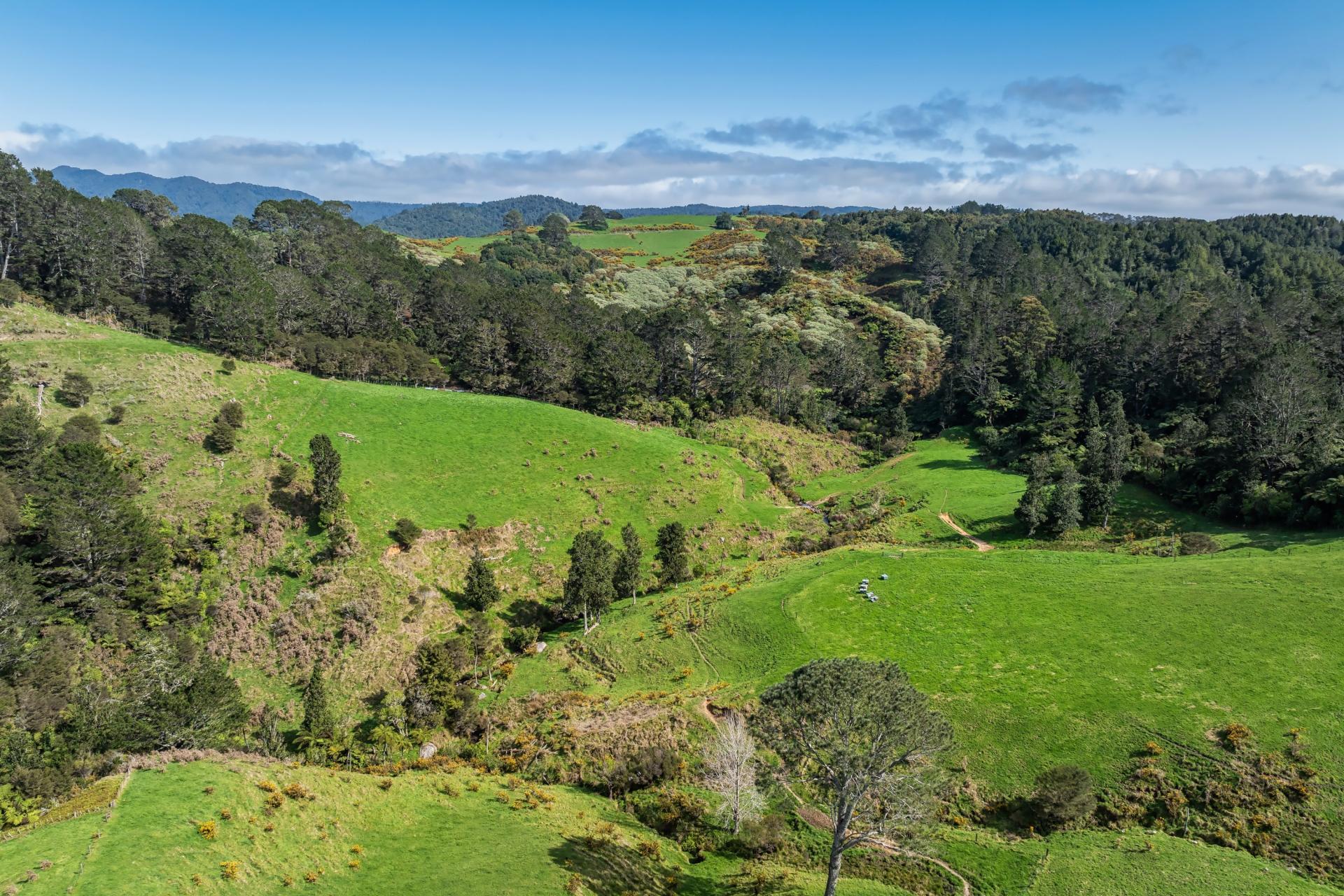 35 Canon Road, Katikati