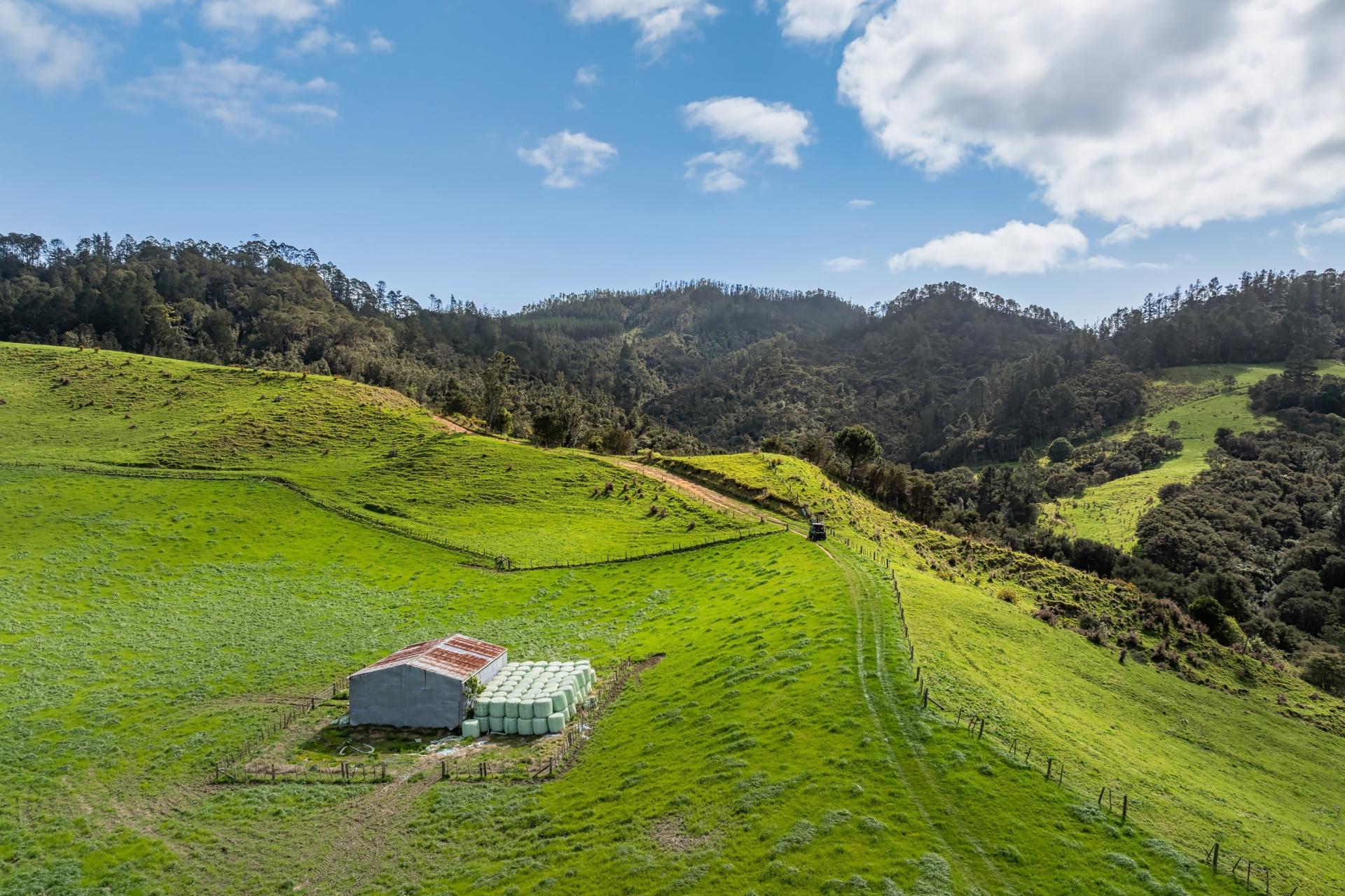 35 Canon Road, Katikati