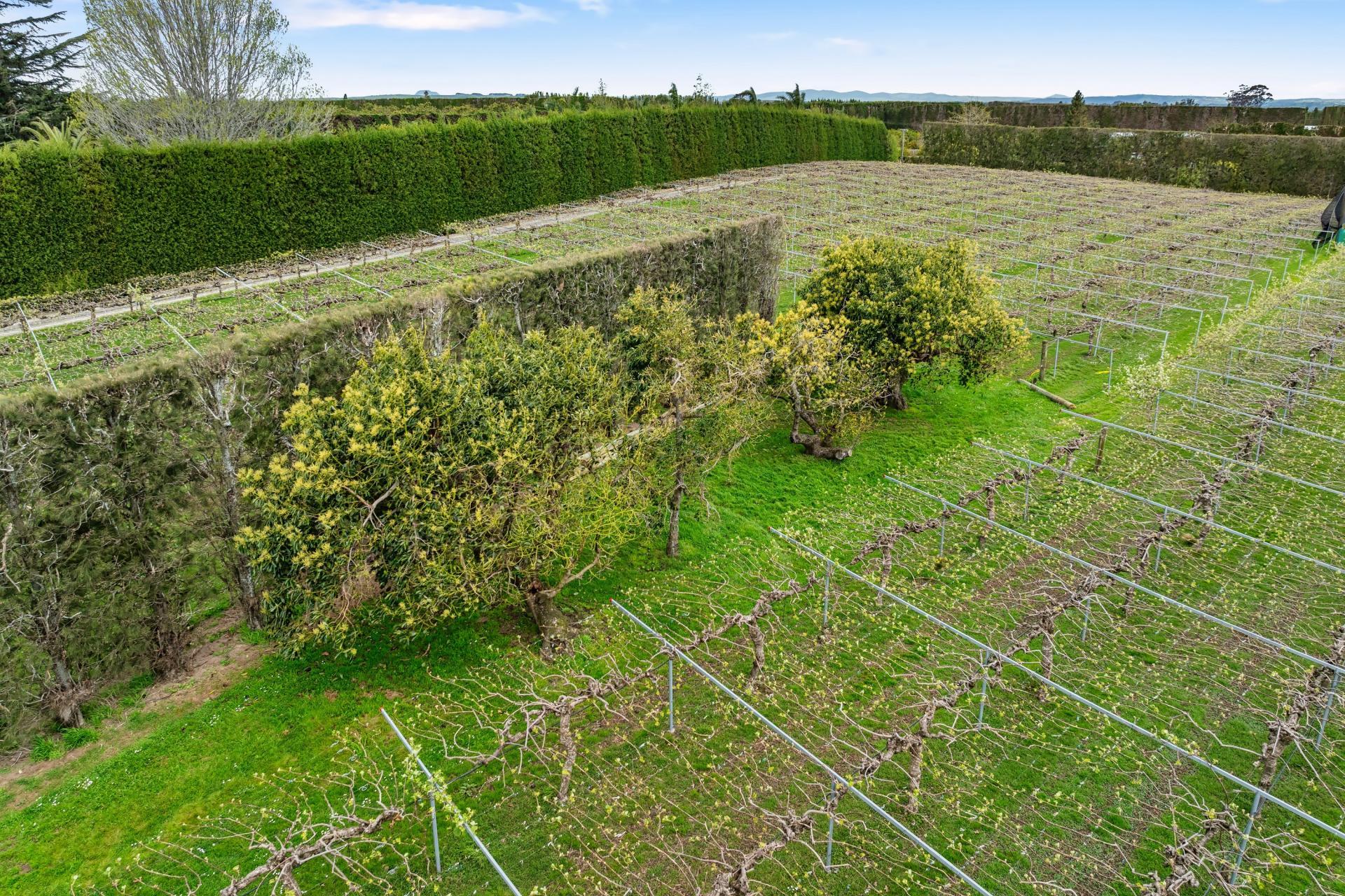69 Pukakura Road, Katikati