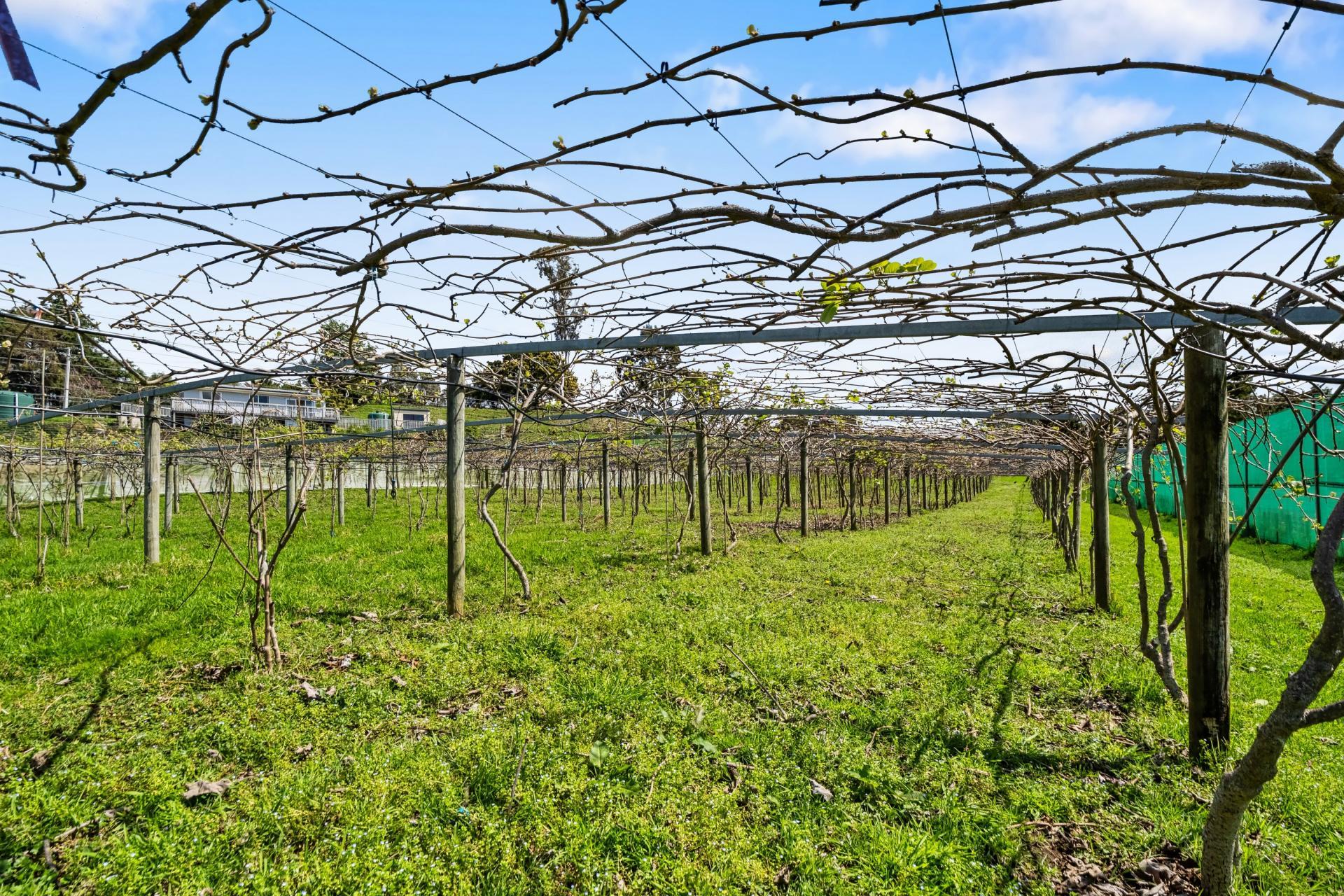 84B Kaiwha Road, Welcome Bay