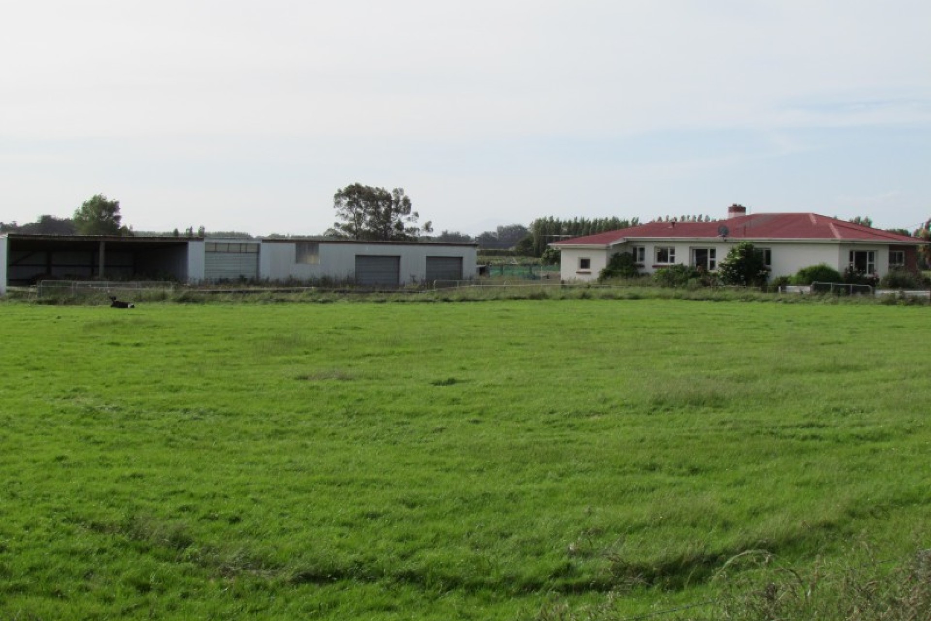 Winton PGG Wrightson Real Estate