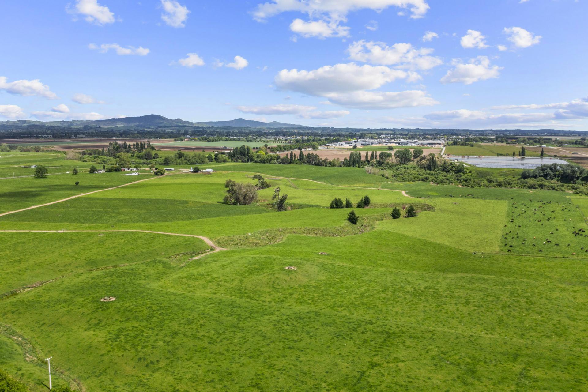 289/296 Tauranga Road, Matamata