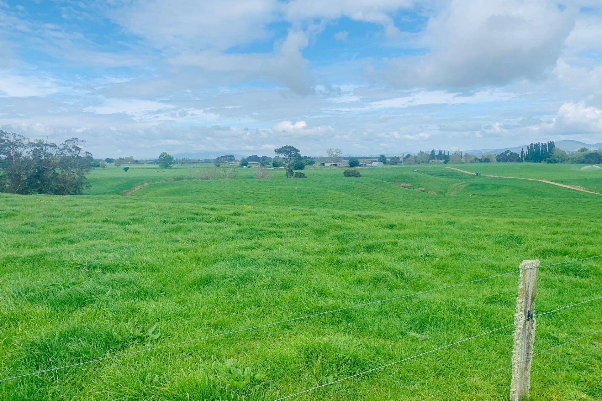 289/296 Tauranga Road, Matamata