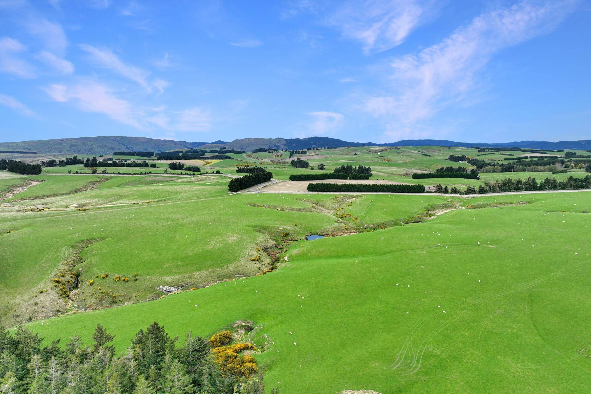 267 (Farm) Wehenga Road, Hindon