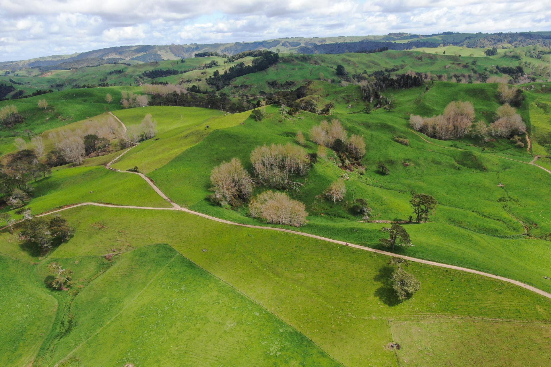 126 Tauraroa Valley Road, Otorohanga