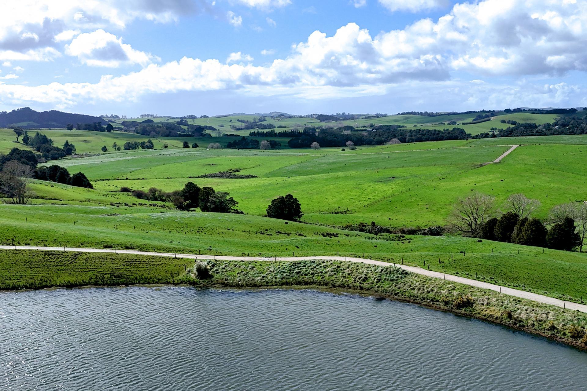 77 Parker Road, Wellsford