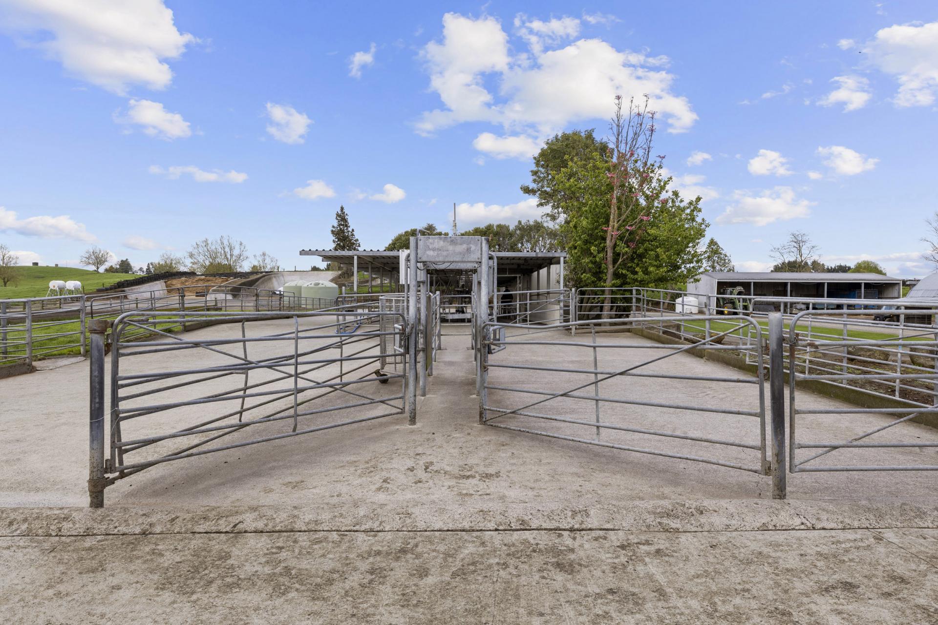 318 Aotearoa Road, Wharepapa South