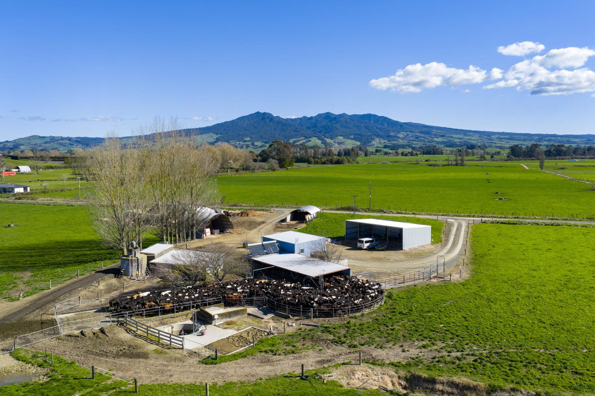 911 Kakaramea Road, Ngahinapouri