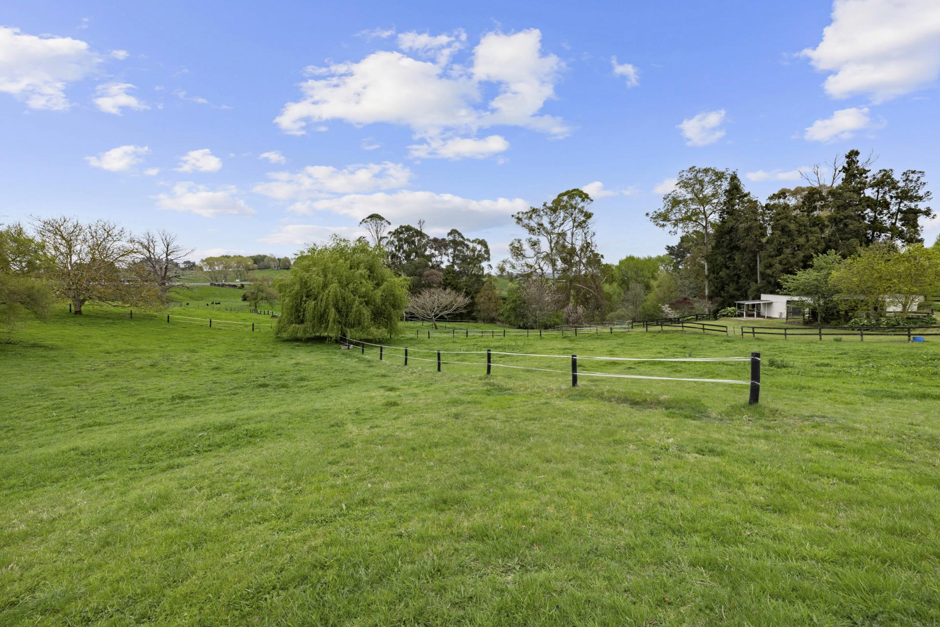 4626 Ohaupo Road, Ohaupo