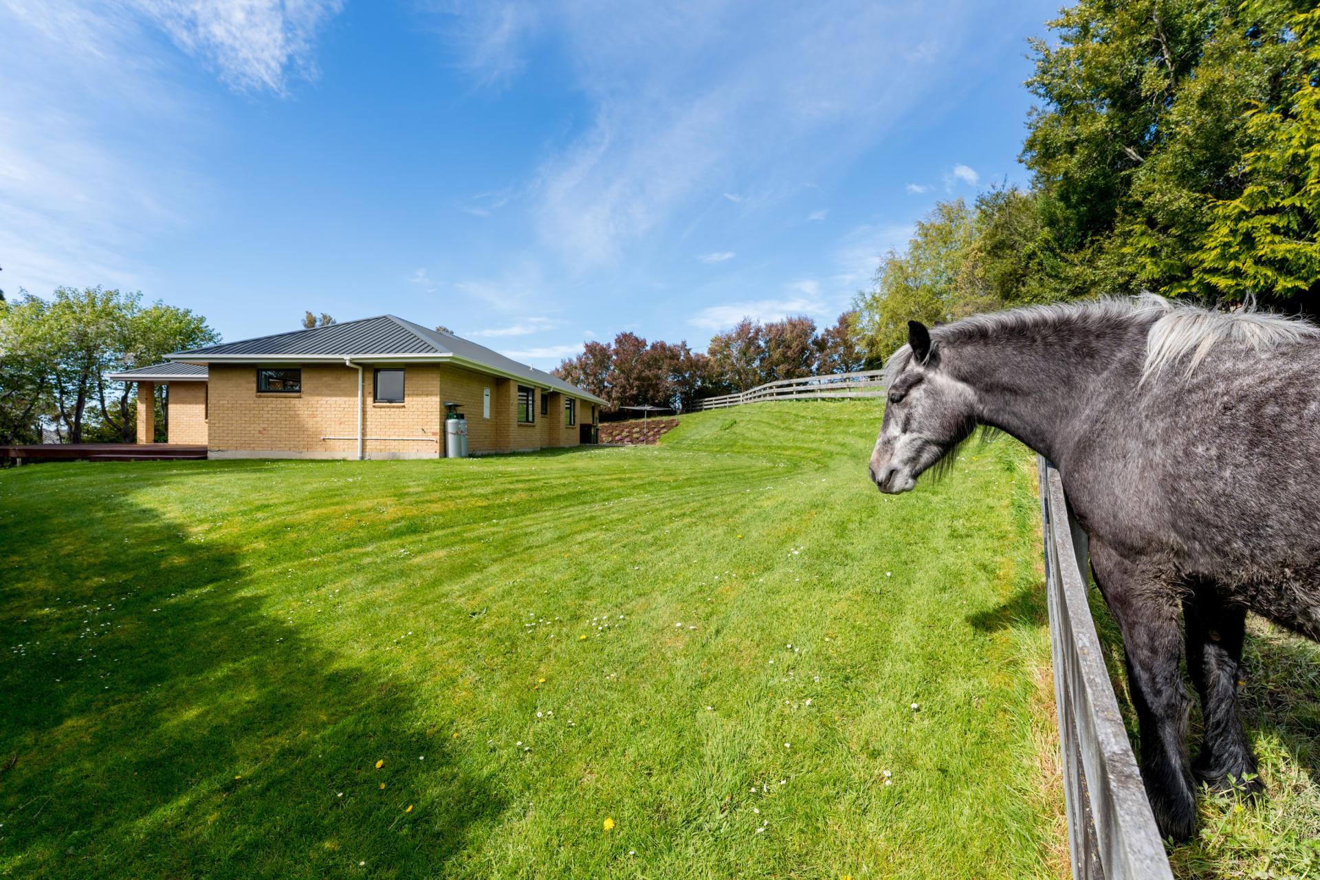 14 Saddle Hill Road, Fairfield