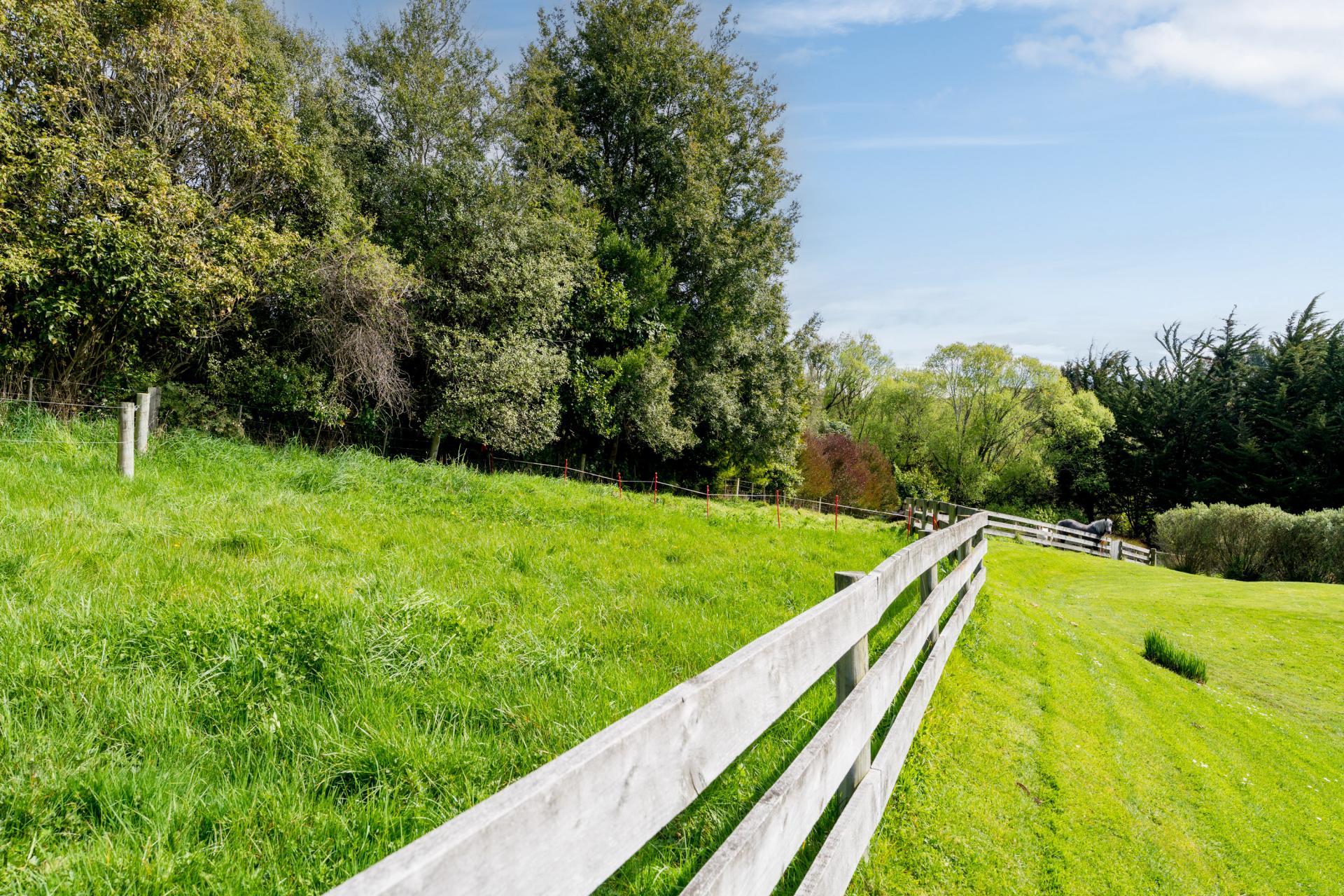 14 Saddle Hill Road, Fairfield
