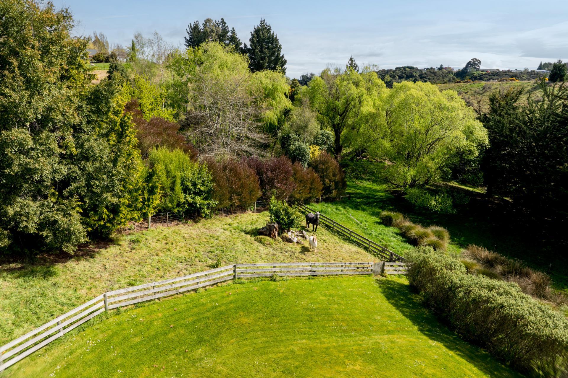 14 Saddle Hill Road, Fairfield