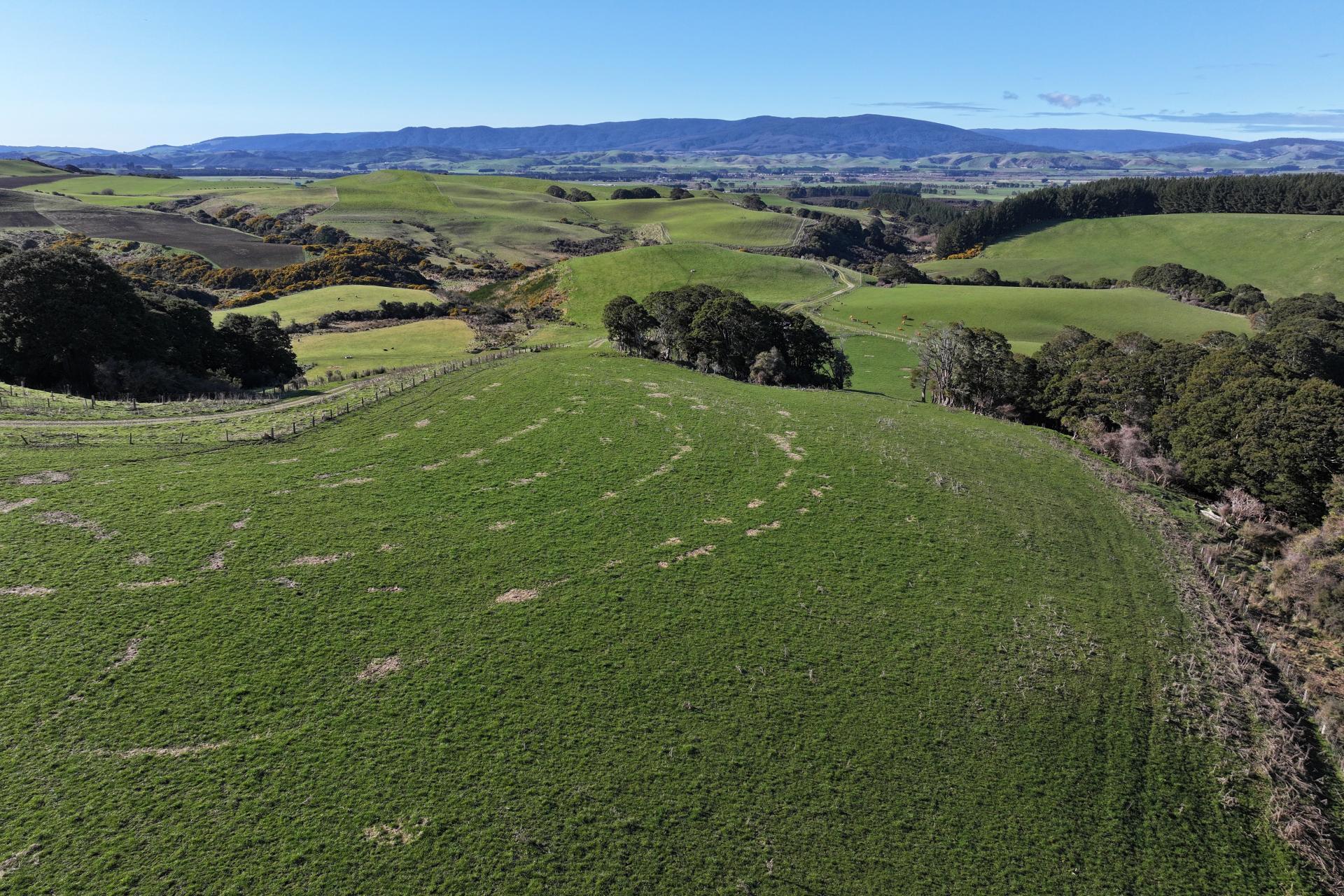 725 Grove Burn Road, Tuatapere