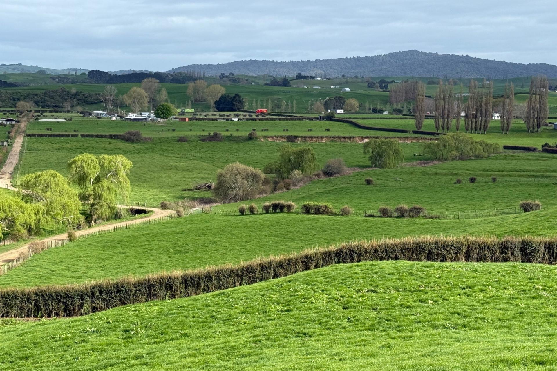5325A State Highway 29, Matamata