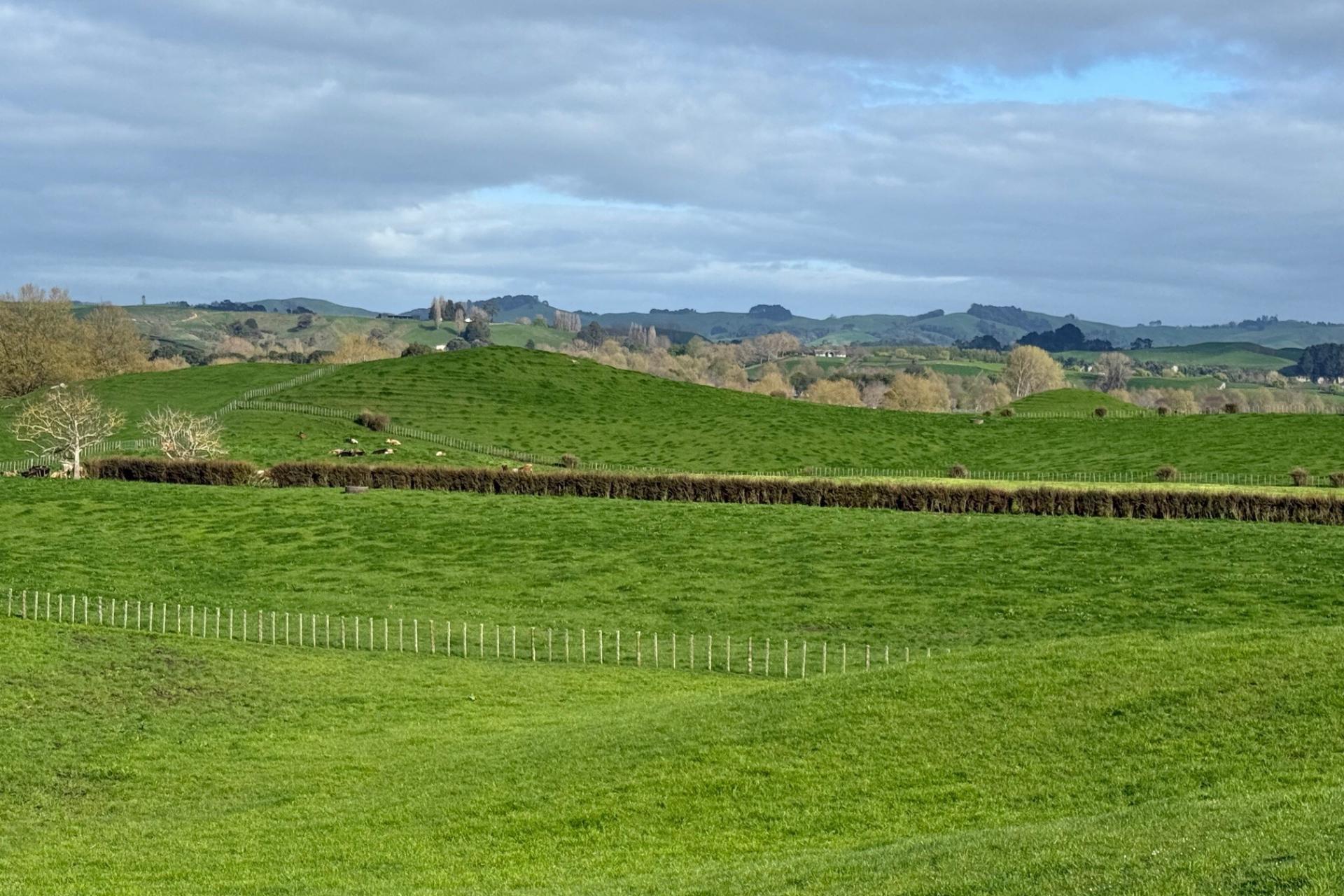 5325A State Highway 29, Matamata