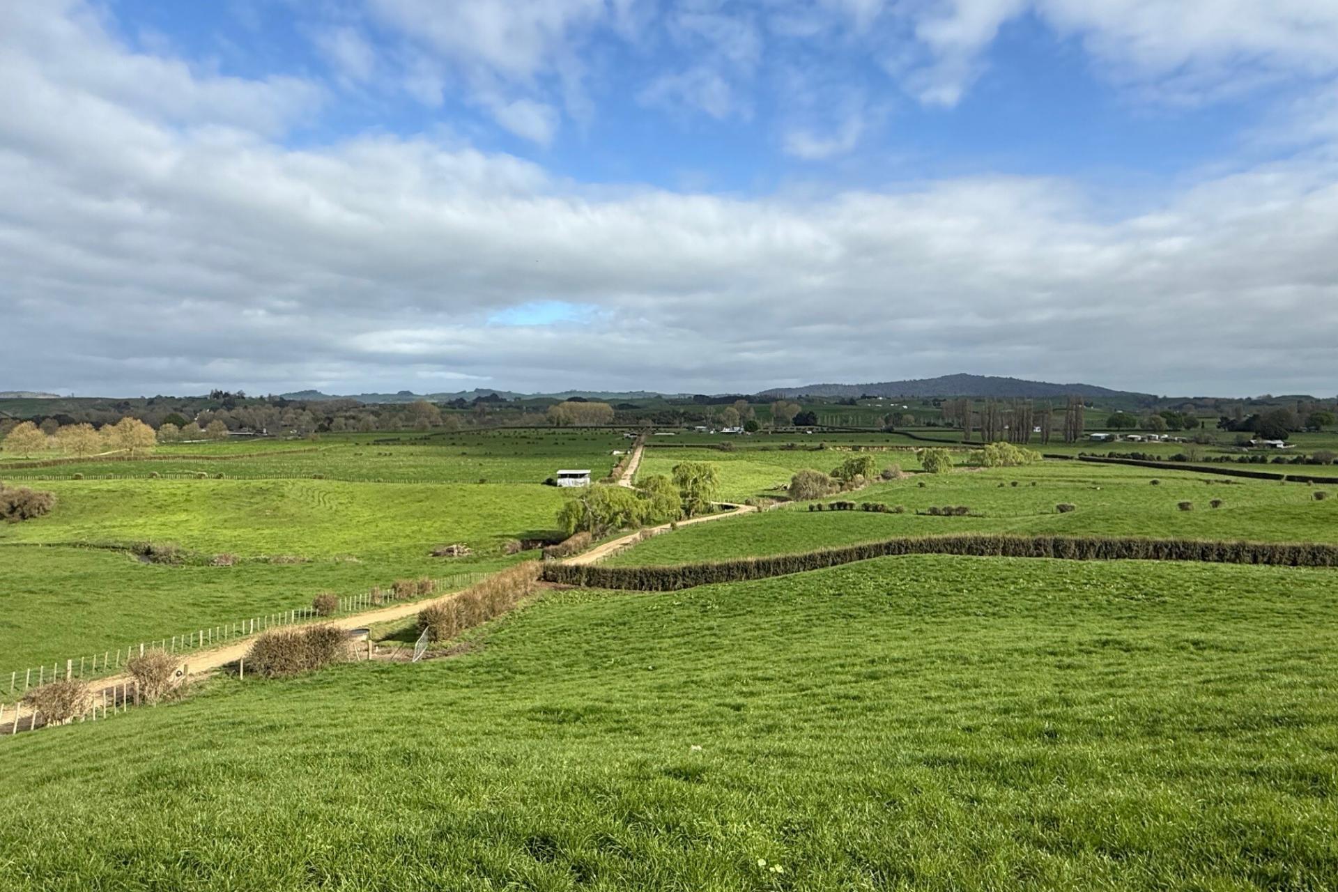 5325A State Highway 29, Matamata
