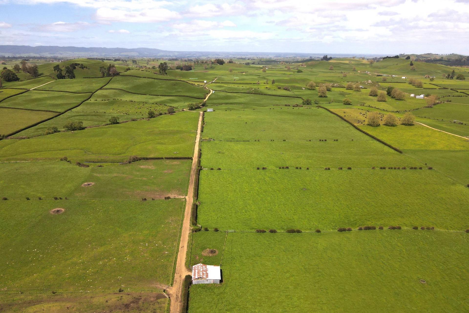 5325A State Highway 29, Matamata