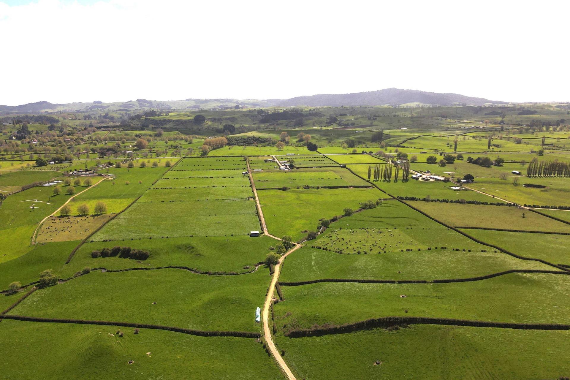 5325A State Highway 29, Matamata