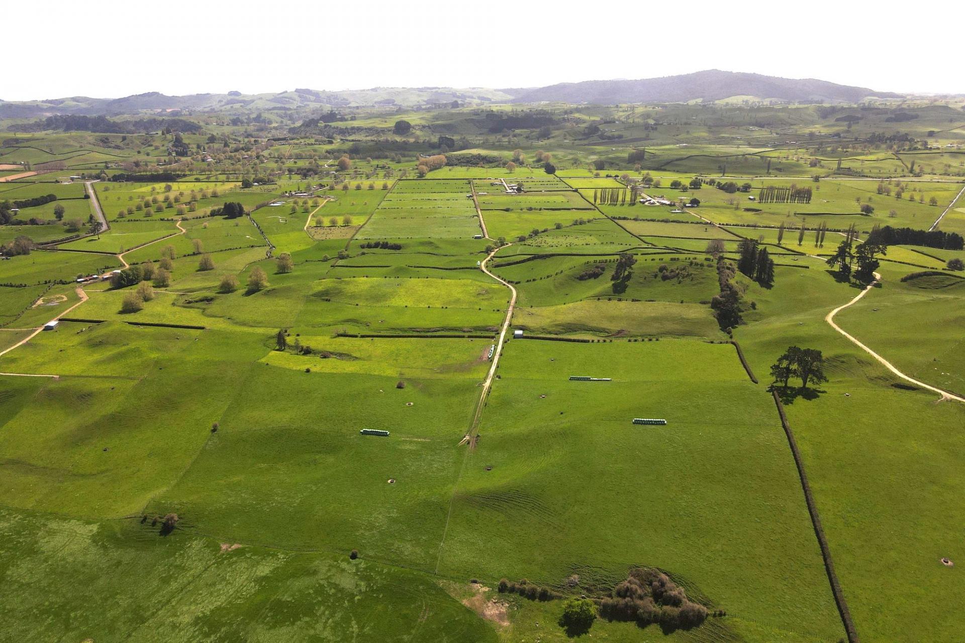 5325A State Highway 29, Matamata