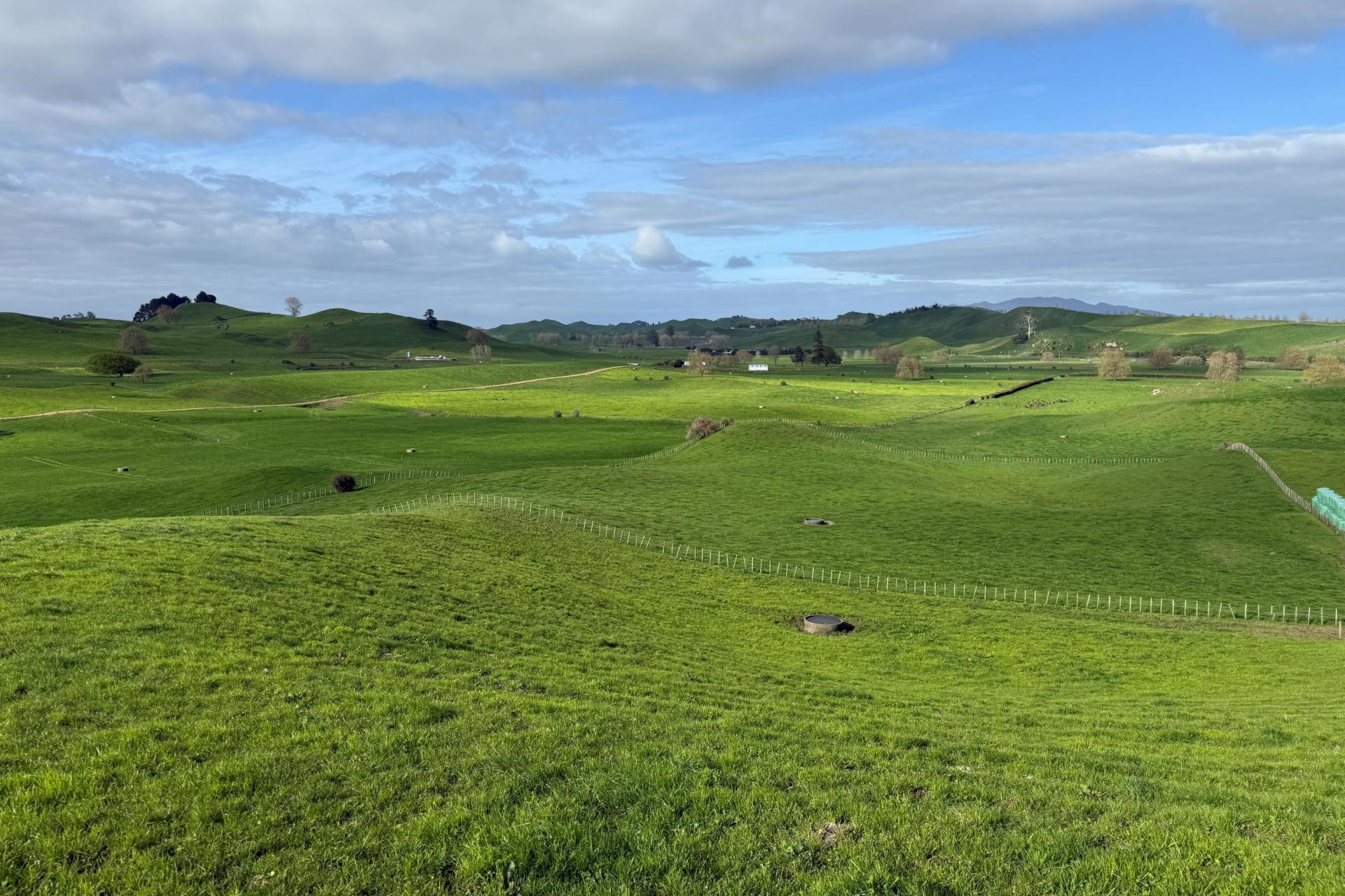 5325A State Highway 29, Matamata
