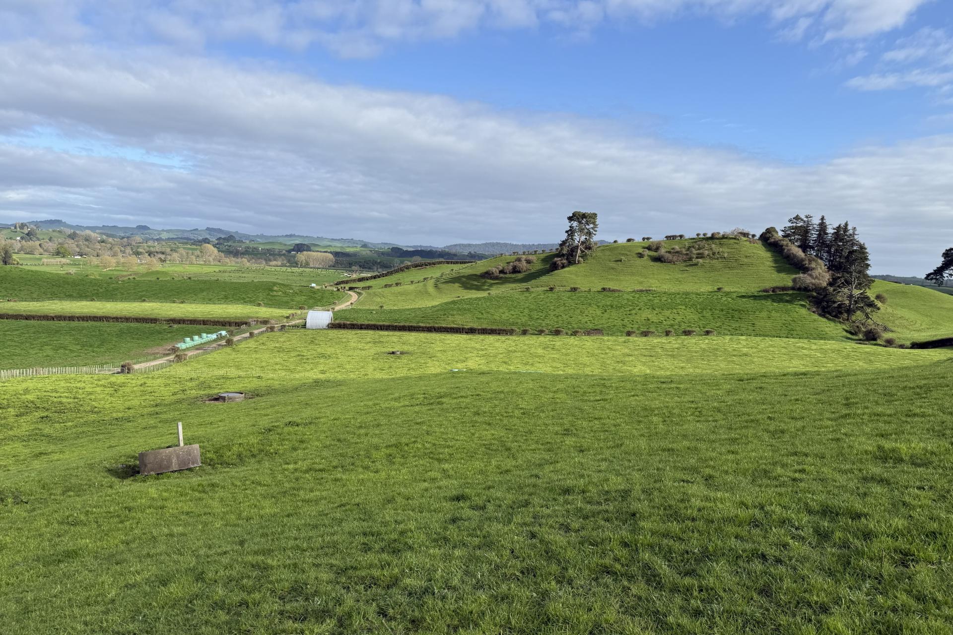 5325A State Highway 29, Matamata