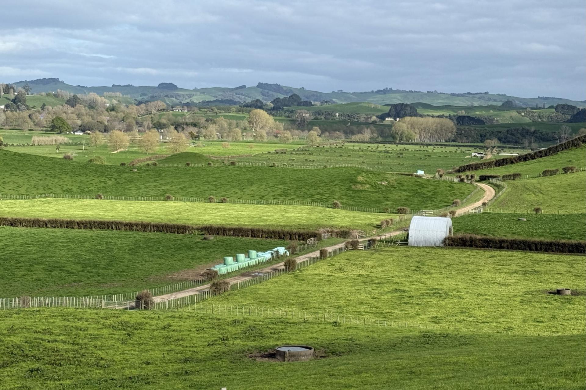 5325A State Highway 29, Matamata