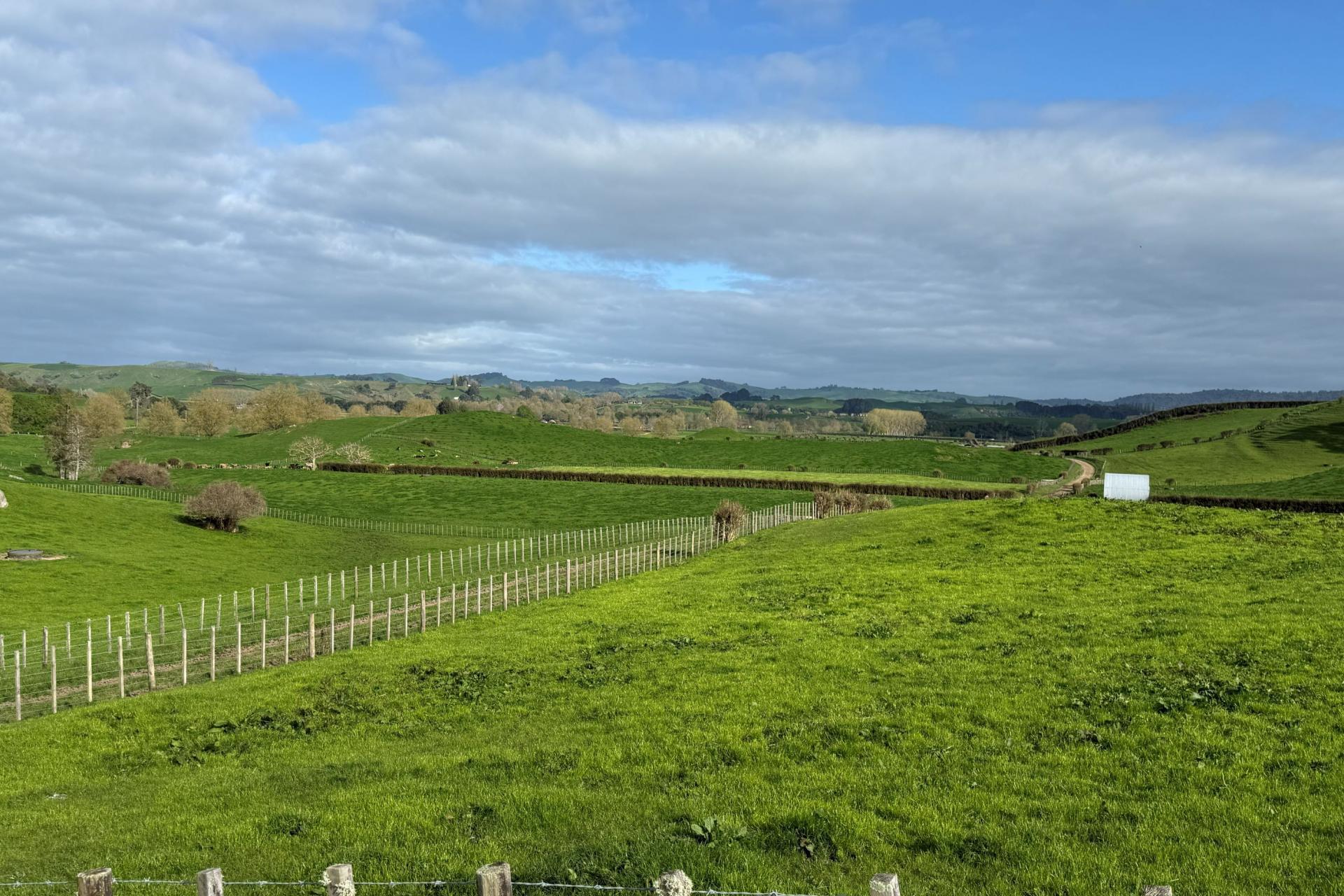 5325A State Highway 29, Matamata