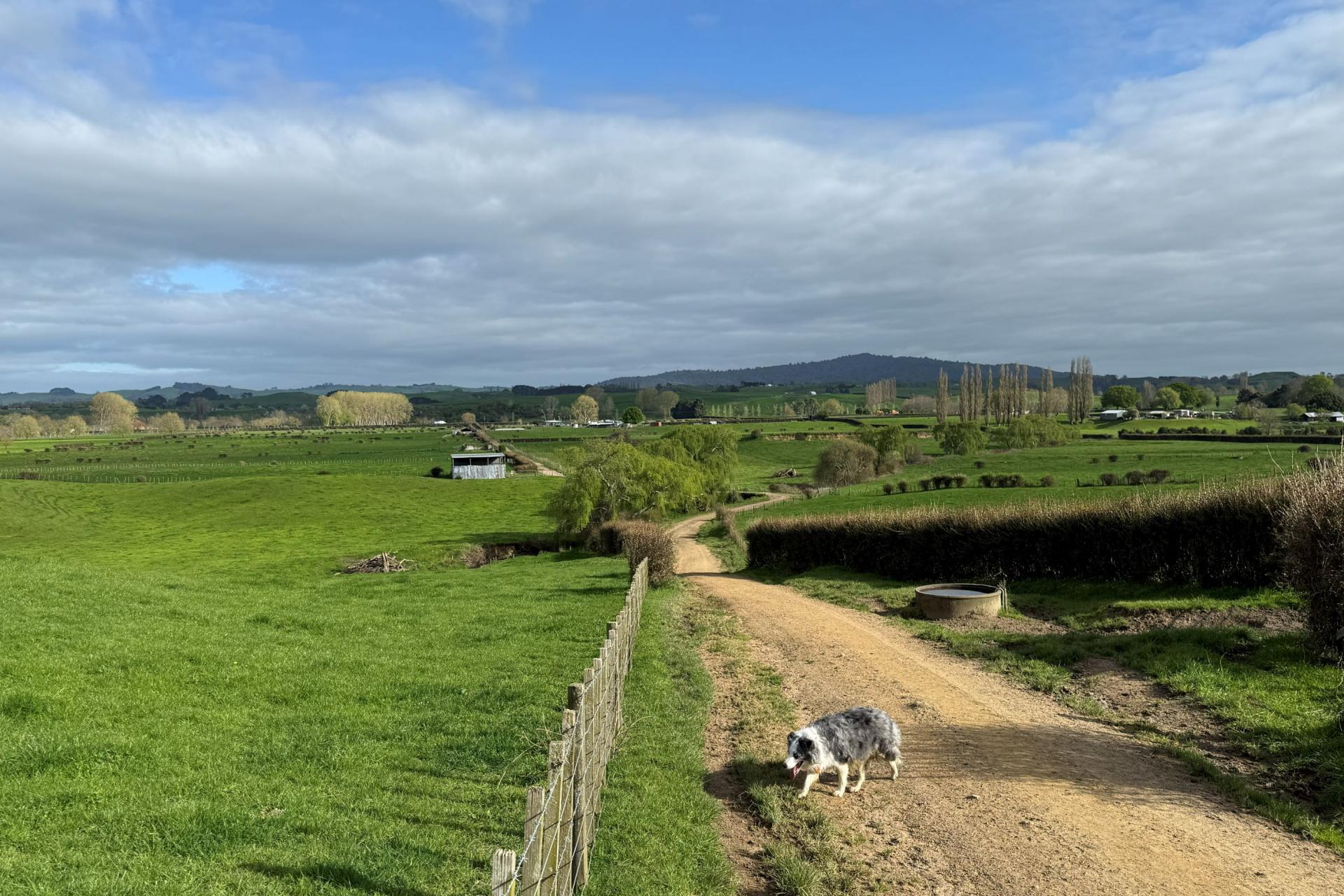 5325A State Highway 29, Matamata