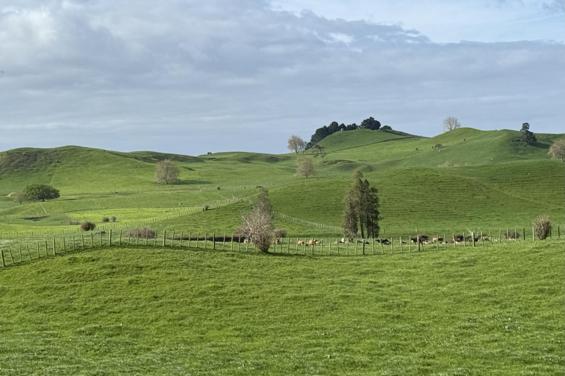 5325A State Highway 29, Matamata