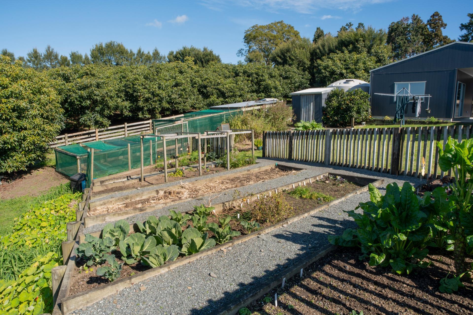 353 Lockington Road, Aongatete