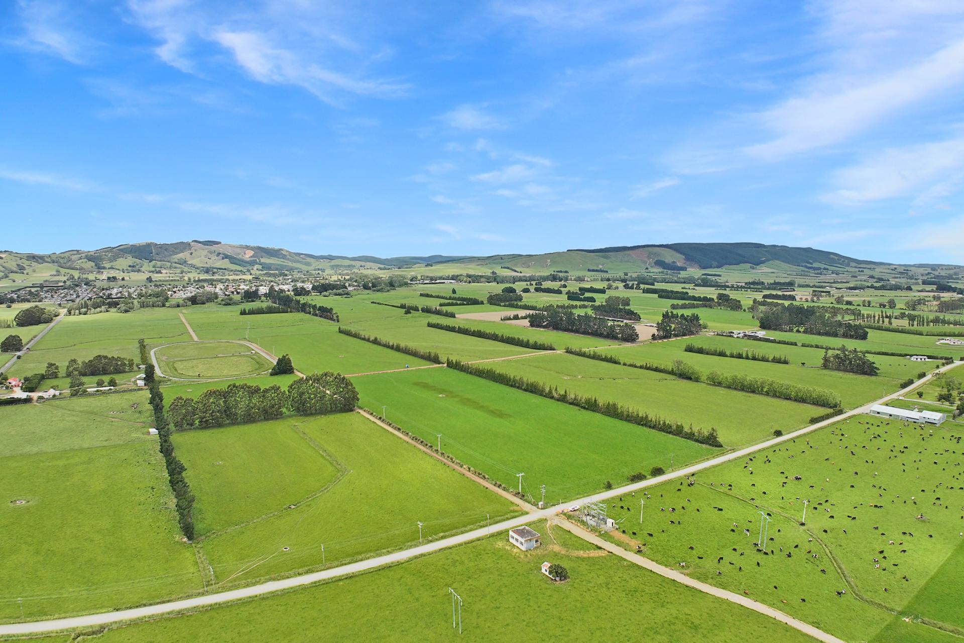 113 Scott Road, Milton