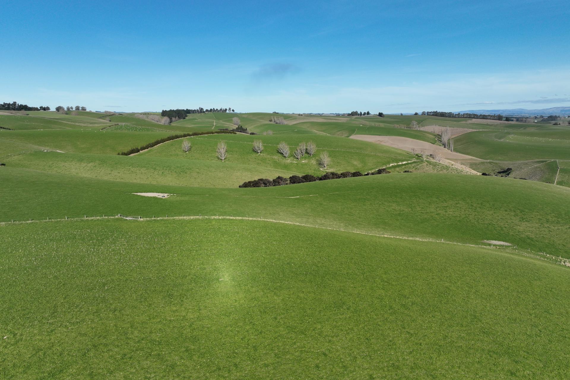 1628 Tuapeka West Road and 275 Bush Road, Tuapeka West