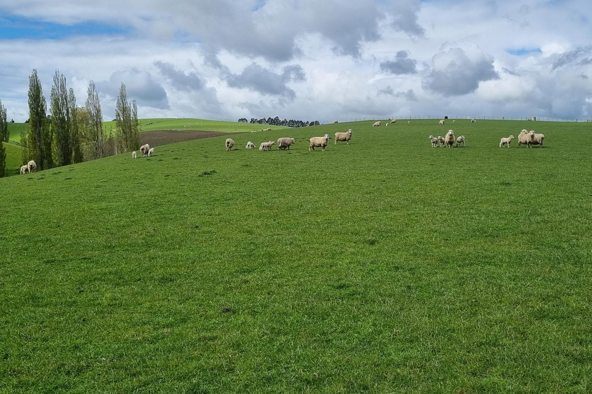 1628 Tuapeka West Road and 275 Bush Road, Tuapeka West