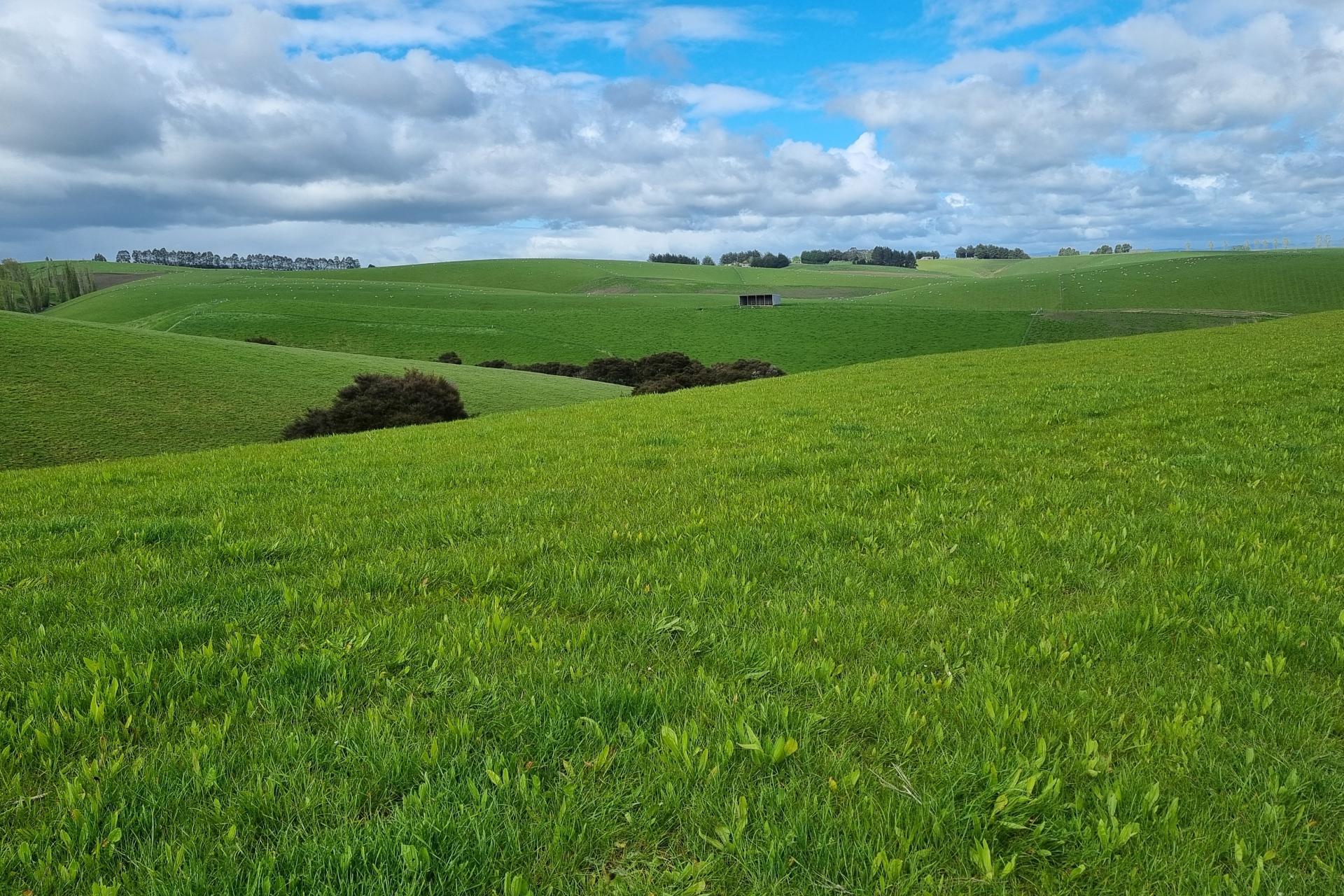 1628 Tuapeka West Road and 275 Bush Road, Tuapeka West