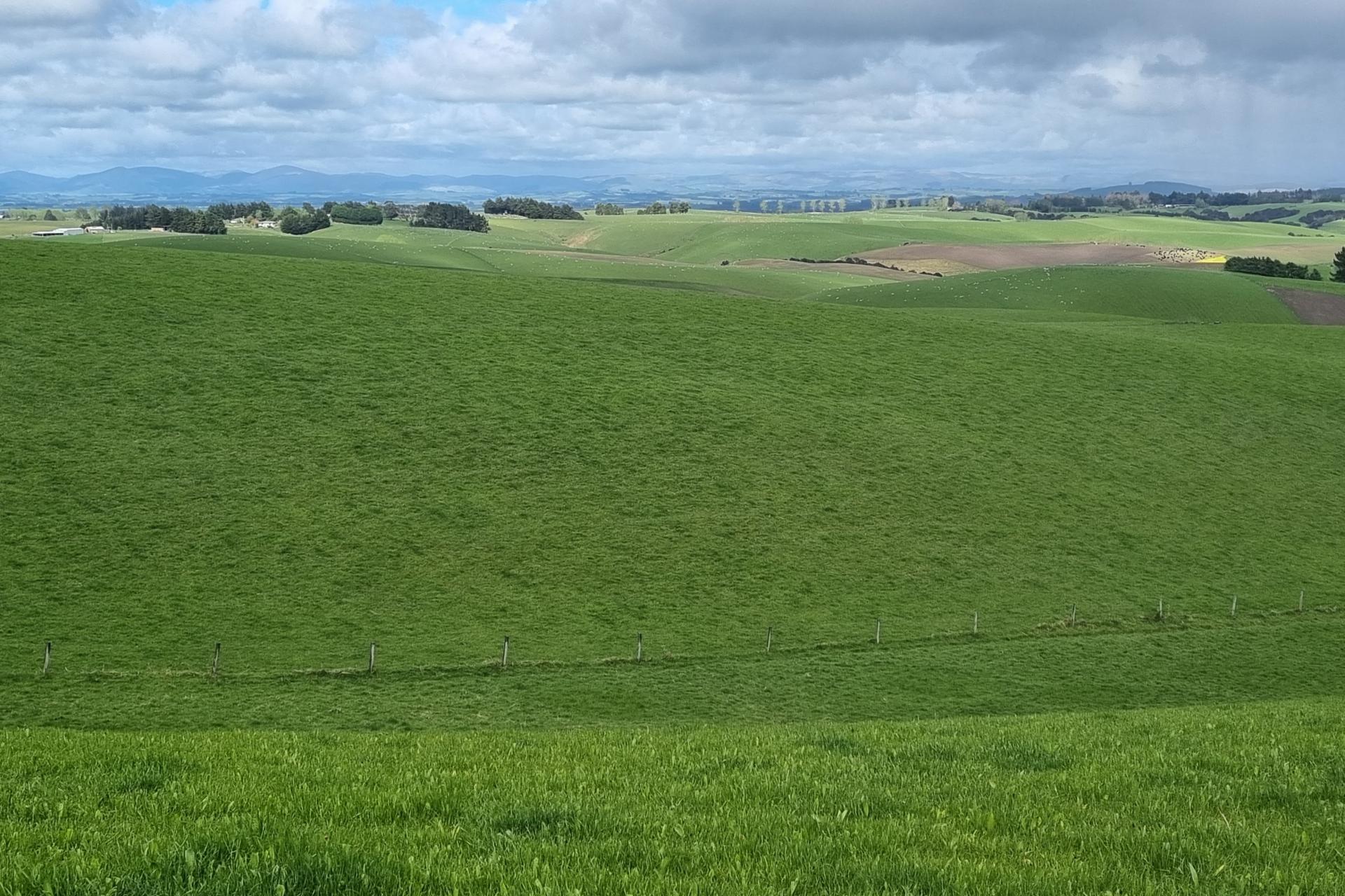 1628 Tuapeka West Road and 275 Bush Road, Tuapeka West