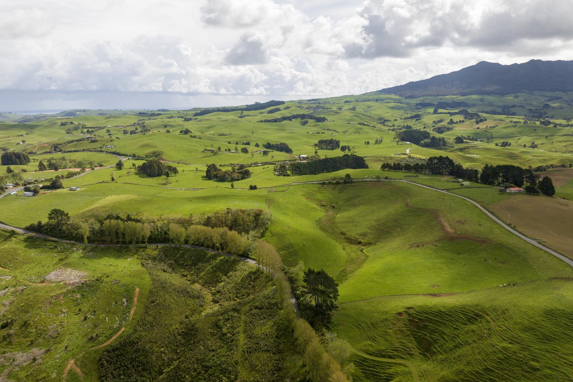 697 Maungatawhiri Road, Raglan