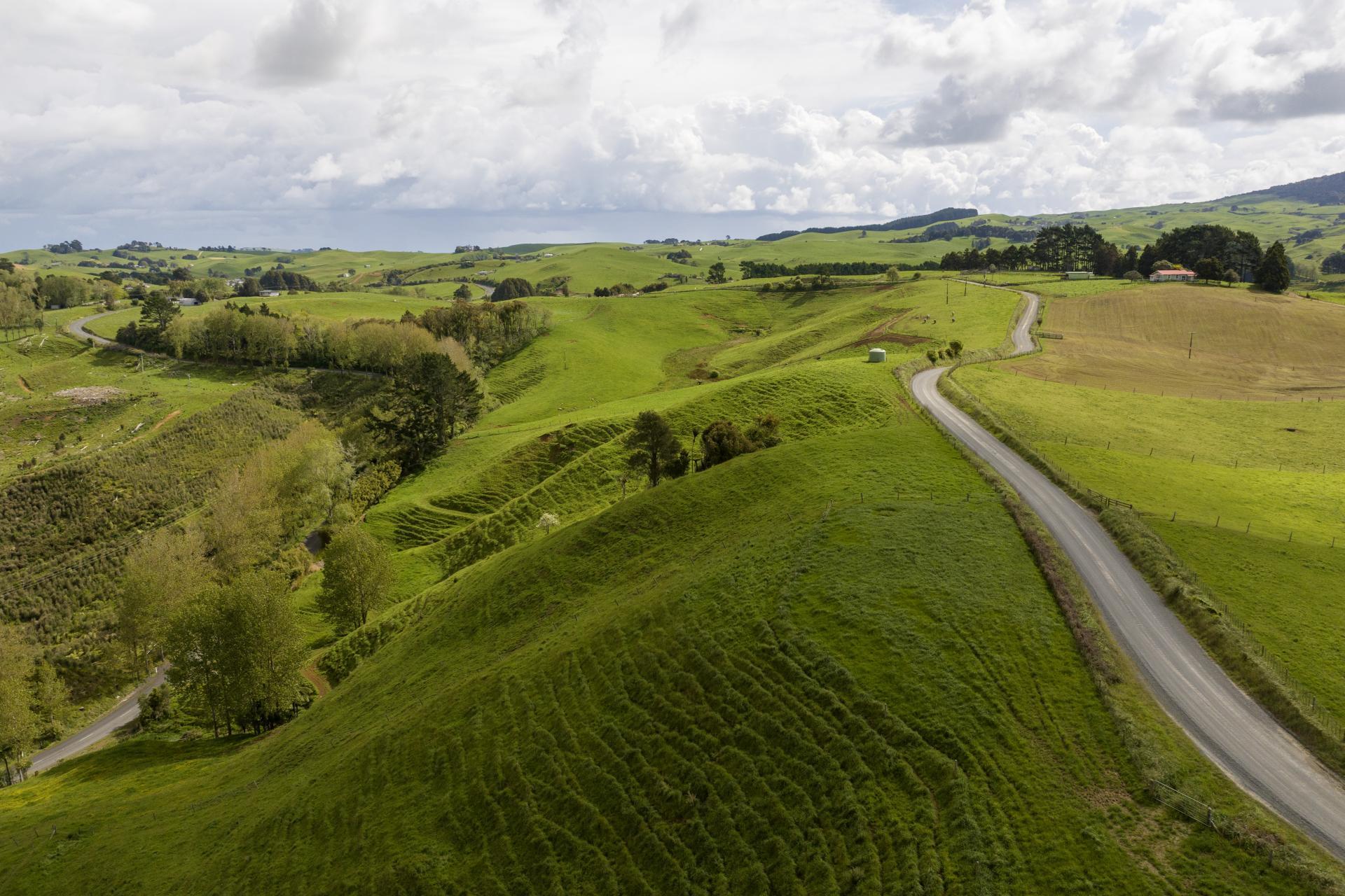 697 Maungatawhiri Road, Raglan