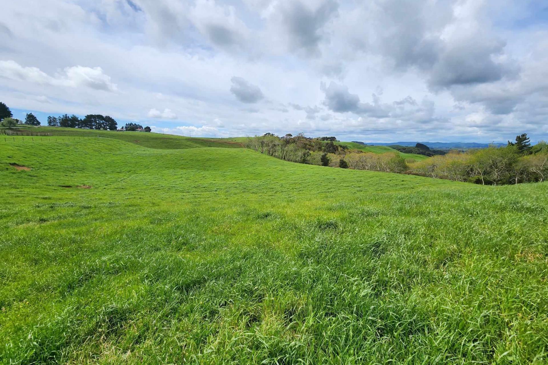 697 Maungatawhiri Road, Raglan