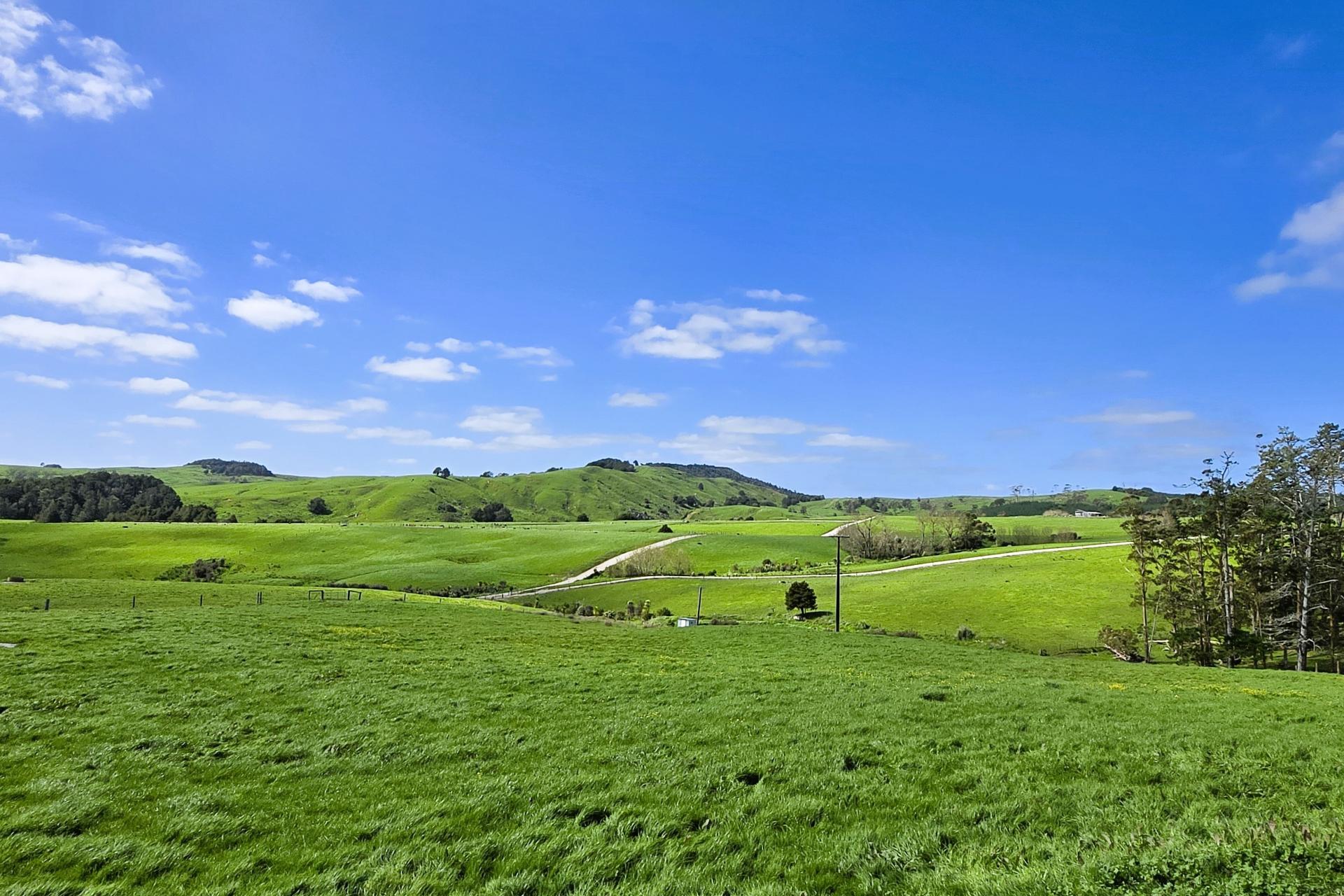 213 Lindquist Road, Ararua