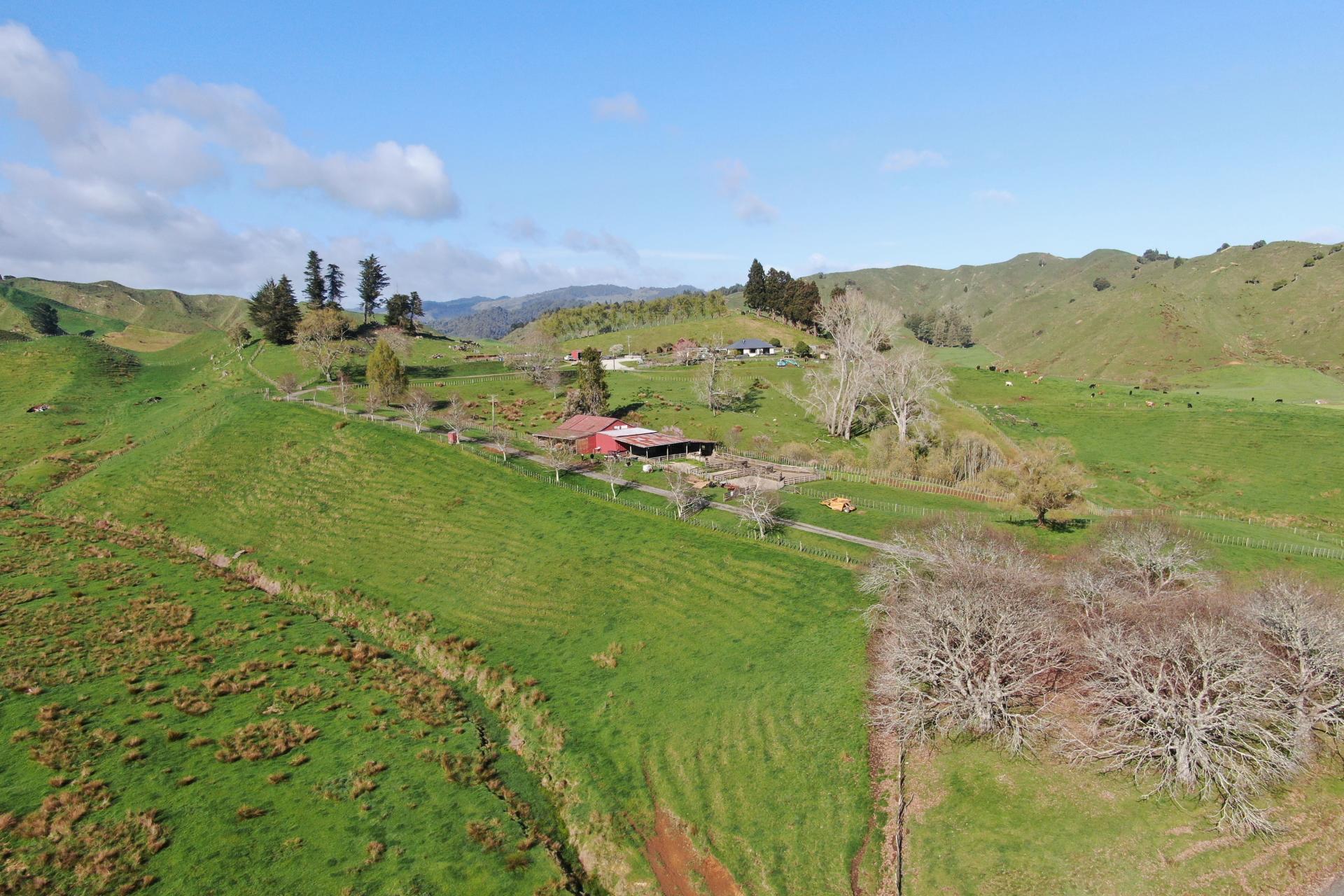 168 Pao Road, Aria