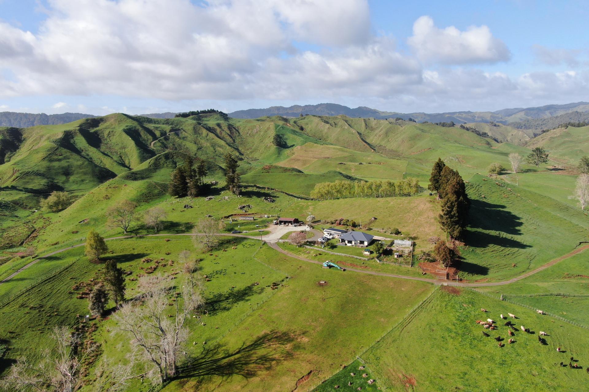 168 Pao Road, Aria