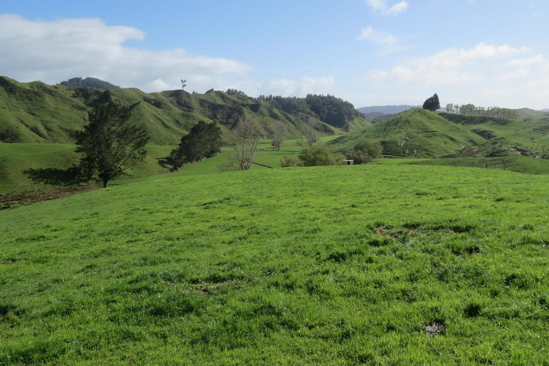 168 Pao Road, Aria