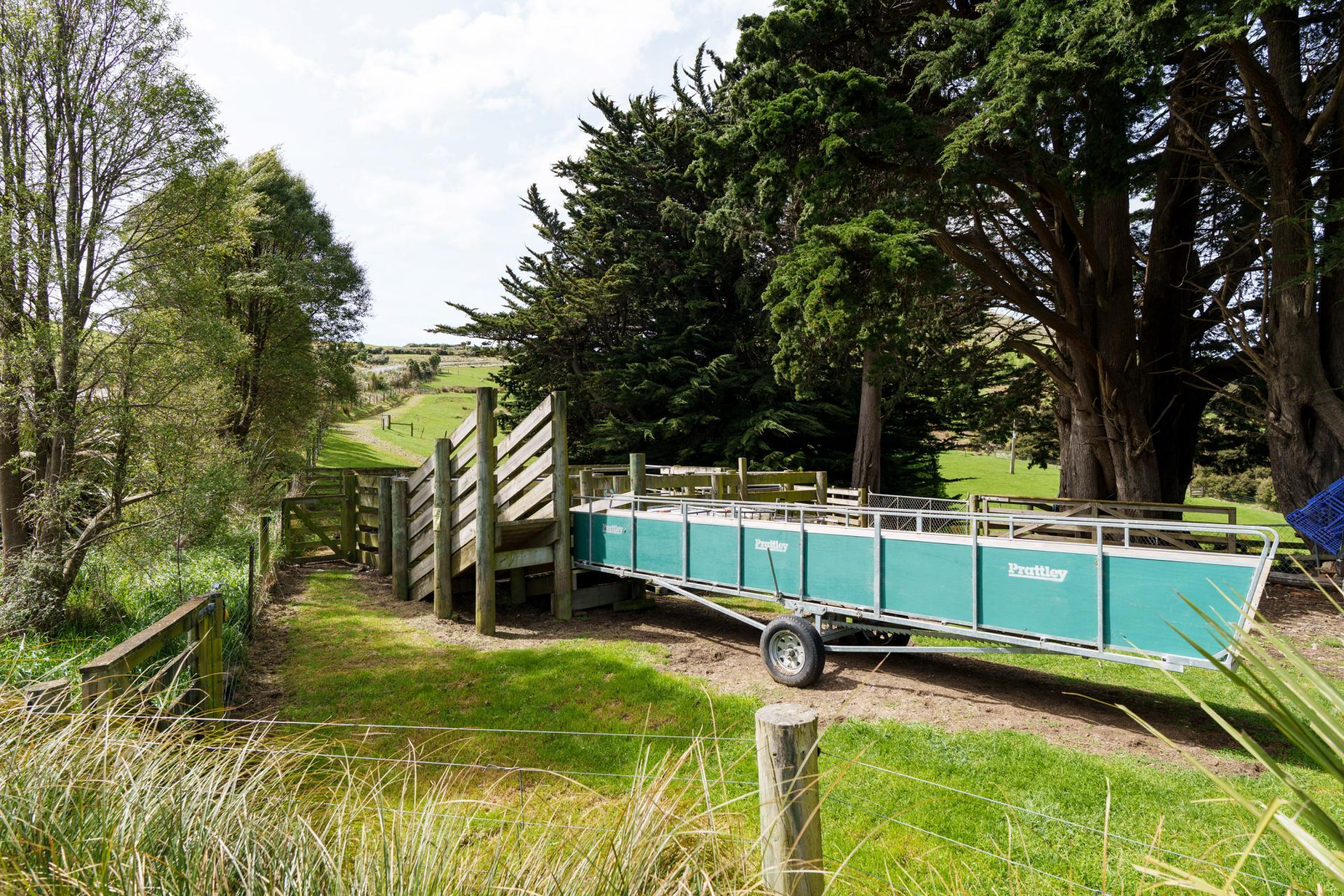 351 Saddle Hill Road, Scroggs Hill